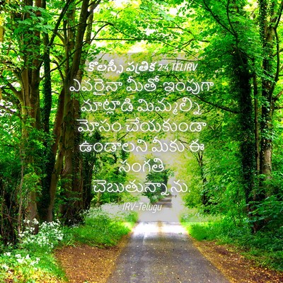 Picture 04 - కొలస్సీ పత్రిక 2:4 TELIRV - ఎవరైనా మీతో - Bible Verse Picture