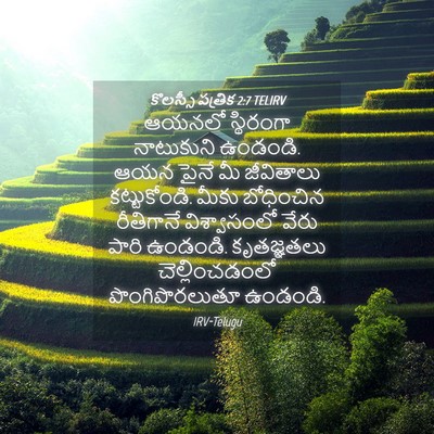 Picture 04 - కొలస్సీ పత్రిక 2:7 TELIRV - ఆయనలో స్థిరంగా - Bible Verse Picture
