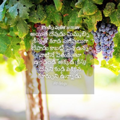 Picture 04 - కొలస్సీ పత్రిక 3:1 TELIRV - అయితే దేవుడు - Bible Verse Picture