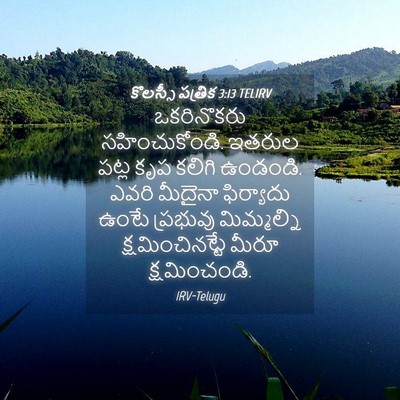 Picture 04 - కొలస్సీ పత్రిక 3:13 TELIRV - ఒకరినొకరు - Bible Verse Picture