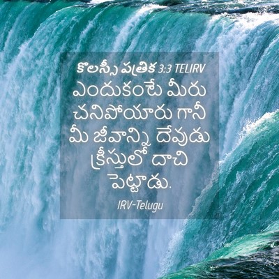 Picture 04 - కొలస్సీ పత్రిక 3:3 TELIRV - ఎందుకంటే మీరు - Bible Verse Picture