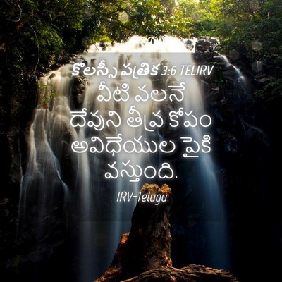 Picture 04 - కొలస్సీ పత్రిక 3:6 TELIRV - వీటి వలనే దేవుని - Bible Verse Picture