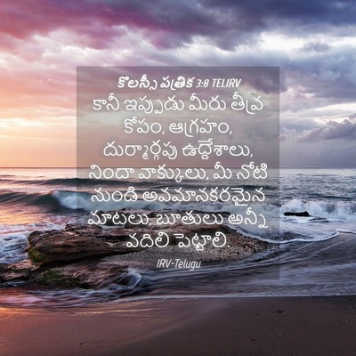 Picture 04 - కొలస్సీ పత్రిక 3:8 TELIRV - కానీ ఇప్పుడు మీరు - Bible Verse Picture