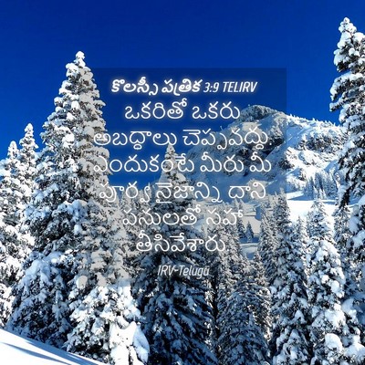 Picture 04 - కొలస్సీ పత్రిక 3:9 TELIRV - ఒకరితో ఒకరు - Bible Verse Picture