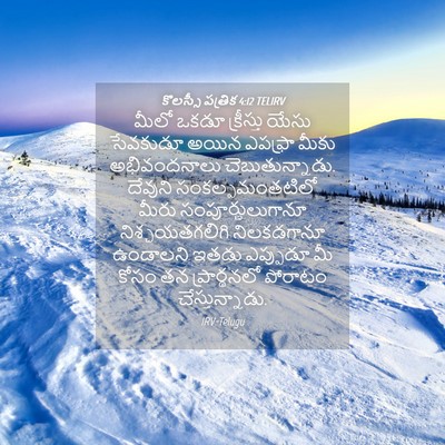 Picture 04 - కొలస్సీ పత్రిక 4:12 TELIRV - మీలో ఒకడూ - Bible Verse Picture