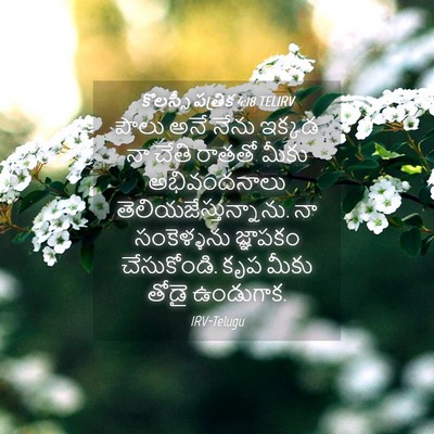 Picture 04 - కొలస్సీ పత్రిక 4:18 TELIRV - పౌలు అనే నేను - Bible Verse Picture