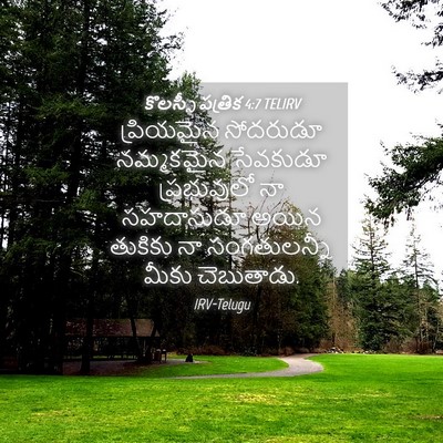 Picture 04 - కొలస్సీ పత్రిక 4:7 TELIRV - ప్రియమైన సోదరుడూ - Bible Verse Picture