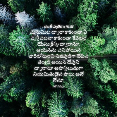 Picture 04 - గలతీ పత్రిక 1:1 TELIRV - మనుషుల ద్వారా - Bible Verse Picture