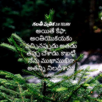 Picture 04 - గలతీ పత్రిక 2:11 TELIRV - అయితే కేఫా, - Bible Verse Picture