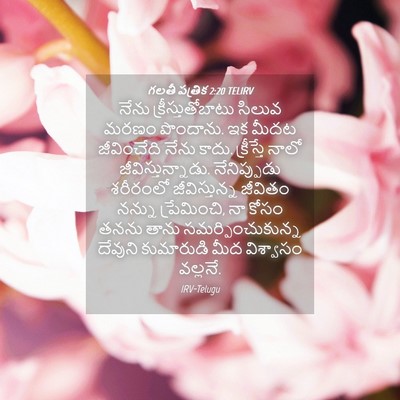 Picture 04 - గలతీ పత్రిక 2:20 TELIRV - నేను - Bible Verse Picture
