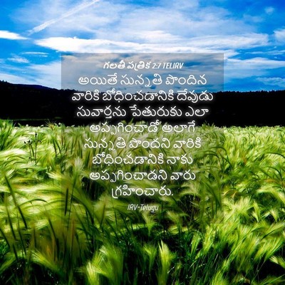 Picture 04 - గలతీ పత్రిక 2:7 TELIRV - అయితే సున్నతి - Bible Verse Picture