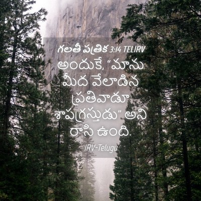 Picture 04 - గలతీ పత్రిక 3:14 TELIRV - అందుకే, “మాను మీద - Bible Verse Picture
