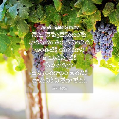 Picture 04 - గలతీ పత్రిక 4:1 TELIRV - నేను - Bible Verse Picture