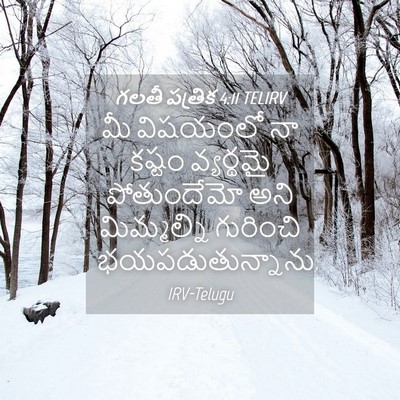 Picture 04 - గలతీ పత్రిక 4:11 TELIRV - మీ విషయంలో నా - Bible Verse Picture