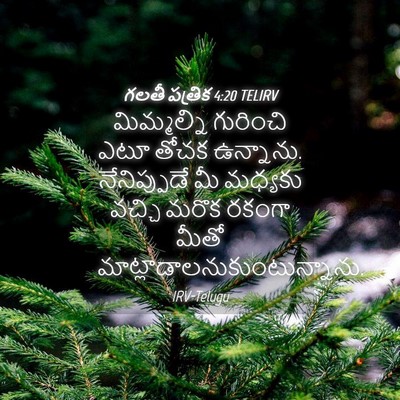 Picture 04 - గలతీ పత్రిక 4:20 TELIRV - మిమ్మల్ని గురించి - Bible Verse Picture