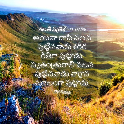 Picture 04 - గలతీ పత్రిక 4:23 TELIRV - అయినా దాసి వలన - Bible Verse Picture