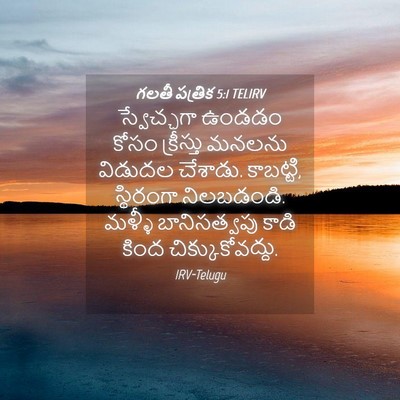 Picture 04 - గలతీ పత్రిక 5:1 TELIRV - స్వేచ్ఛగా ఉండడం - Bible Verse Picture