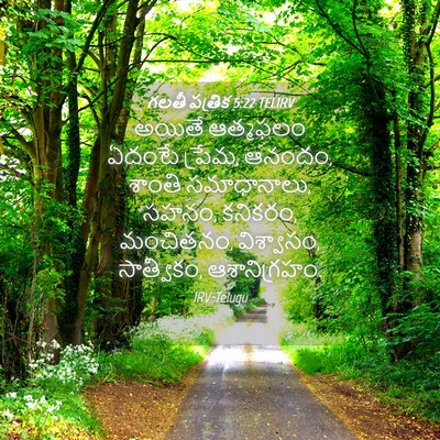 Picture 04 - గలతీ పత్రిక 5:22 TELIRV - అయితే ఆత్మఫలం - Bible Verse Picture