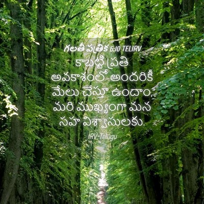 Picture 04 - గలతీ పత్రిక 6:10 TELIRV - కాబట్టి ప్రతి - Bible Verse Picture