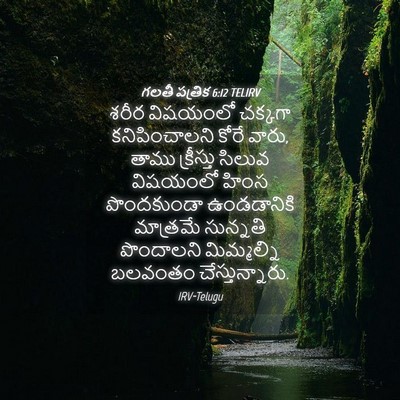 Picture 04 - గలతీ పత్రిక 6:12 TELIRV - శరీర విషయంలో - Bible Verse Picture