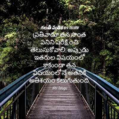 Picture 04 - గలతీ పత్రిక 6:4 TELIRV - ప్రతివాడూ తన సొంత - Bible Verse Picture
