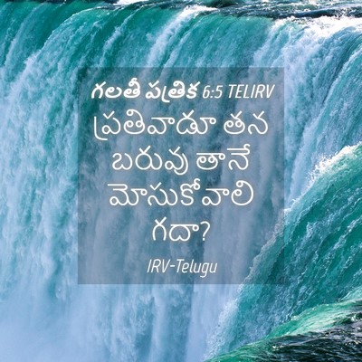 Picture 04 - గలతీ పత్రిక 6:5 TELIRV - ప్రతివాడూ తన - Bible Verse Picture
