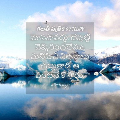 Picture 04 - గలతీ పత్రిక 6:7 TELIRV - మోసపోవద్దు. - Bible Verse Picture