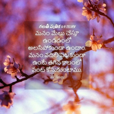 Picture 04 - గలతీ పత్రిక 6:9 TELIRV - మనం మేలు చేస్తూ - Bible Verse Picture