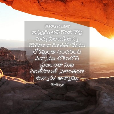 Picture 04 - జెకర్యా 1:11 TELIRV - అప్పుడు అవి గొంజి - Bible Verse Picture