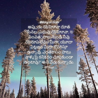 Picture 04 - జెకర్యా 1:12 TELIRV - అప్పుడు యెహోవా - Bible Verse Picture