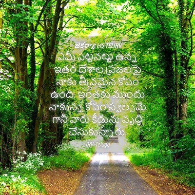 Picture 04 - జెకర్యా 1:15 TELIRV - ఏమీ పట్టనట్టు - Bible Verse Picture