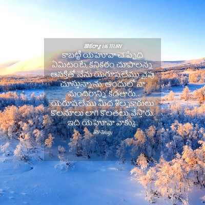 Picture 04 - జెకర్యా 1:16 TELIRV - కాబట్టి యెహోవా - Bible Verse Picture