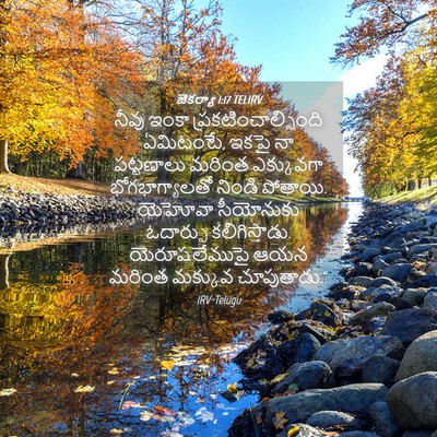 Picture 04 - జెకర్యా 1:17 TELIRV - నీవు ఇంకా - Bible Verse Picture