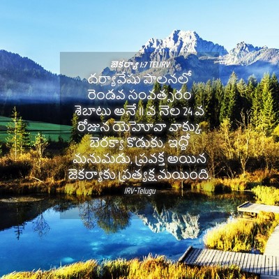 Picture 04 - జెకర్యా 1:7 TELIRV - దర్యావేషు పాలనలో - Bible Verse Picture