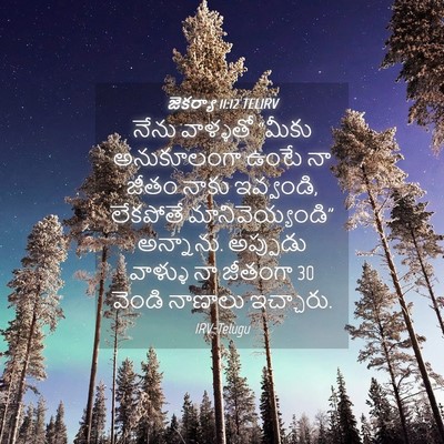 Picture 04 - జెకర్యా 11:12 TELIRV - నేను వాళ్ళతో - Bible Verse Picture
