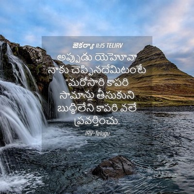 Picture 04 - జెకర్యా 11:15 TELIRV - అప్పుడు యెహోవా - Bible Verse Picture
