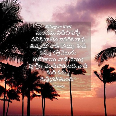 Picture 04 - జెకర్యా 11:17 TELIRV - మందను - Bible Verse Picture