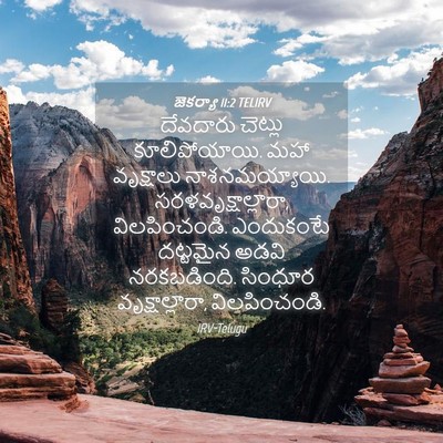 Picture 04 - జెకర్యా 11:2 TELIRV - దేవదారు చెట్లు - Bible Verse Picture