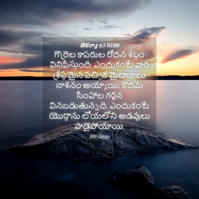 Picture 04 - జెకర్యా 11:3 TELIRV - గొర్రెల కాపరుల - Bible Verse Picture