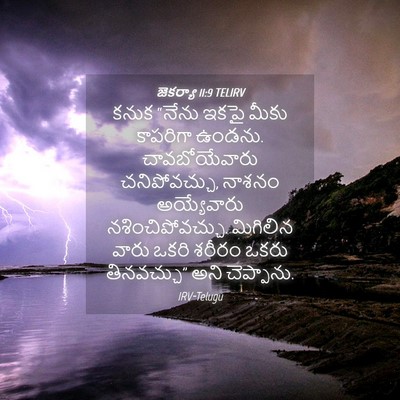 Picture 04 - జెకర్యా 11:9 TELIRV - కనుక “నేను ఇకపై - Bible Verse Picture
