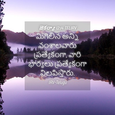 Picture 04 - జెకర్యా 12:14 TELIRV - మిగిలిన అన్ని - Bible Verse Picture