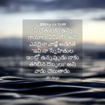 Picture 04 - జెకర్యా 13:6 TELIRV - “నీ చేతులకు ఉన్న - Bible Verse Picture
