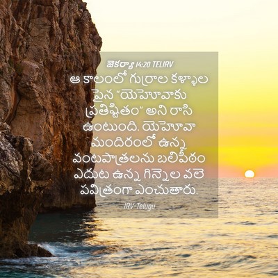 Picture 04 - జెకర్యా 14:20 TELIRV - ఆ కాలంలో గుర్రాల - Bible Verse Picture