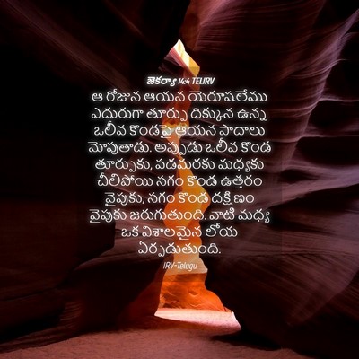 Picture 04 - జెకర్యా 14:4 TELIRV - ఆ రోజున ఆయన - Bible Verse Picture