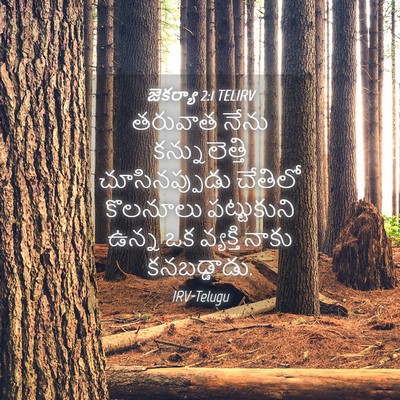 Picture 04 - జెకర్యా 2:1 TELIRV - తరువాత నేను - Bible Verse Picture