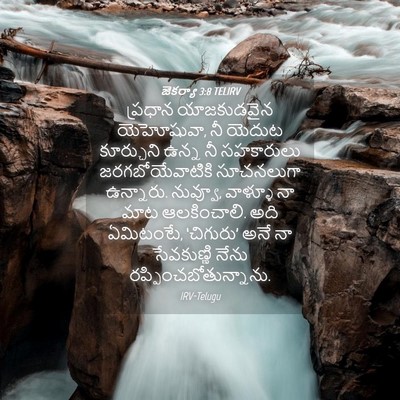 Picture 04 - జెకర్యా 3:8 TELIRV - ప్రధాన యాజకుడవైన - Bible Verse Picture
