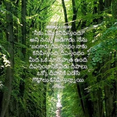 Picture 04 - జెకర్యా 4:2 TELIRV - “నీకు ఏమి - Bible Verse Picture