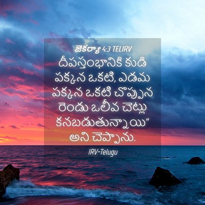 Picture 04 - జెకర్యా 4:3 TELIRV - దీపస్తంభానికి - Bible Verse Picture