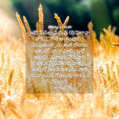 Picture 04 - జెకర్యా 5:4 TELIRV - ఇదే సేనల ప్రభువు - Bible Verse Picture