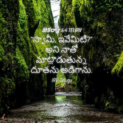Picture 04 - జెకర్యా 6:4 TELIRV - “స్వామీ, ఇవేమిటి?” - Bible Verse Picture
